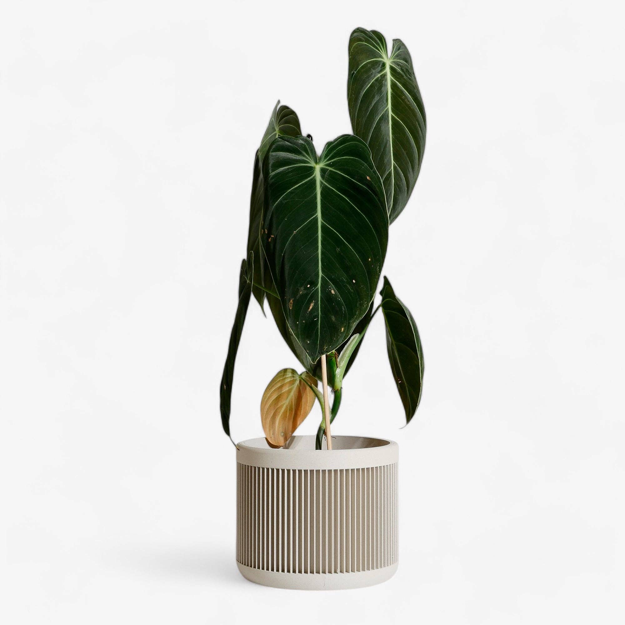 MINIMUM DESIGN - Wholesale Plant Pot - Indoor Plant House - Beige, Black, Green, Mist white, Terracotta - JAPAN9