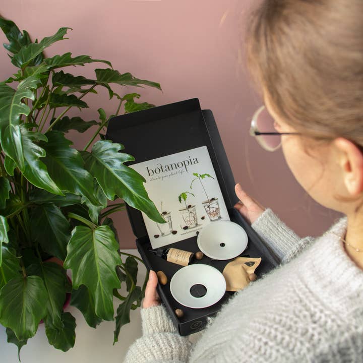 Botanopia - gifts , decor and cards for plant lovers - Wholesale Plant Seeds - Deluxe Gift Box – Germination & Propagation in water9
