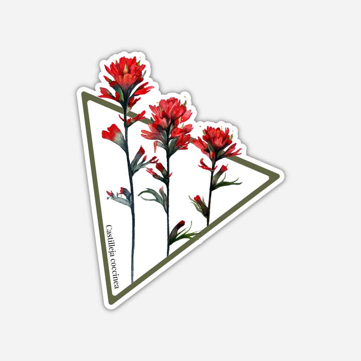 Indian Paintbrush, prairie-fire decal, Floral Sticker for wholesale by CMarie Northwest