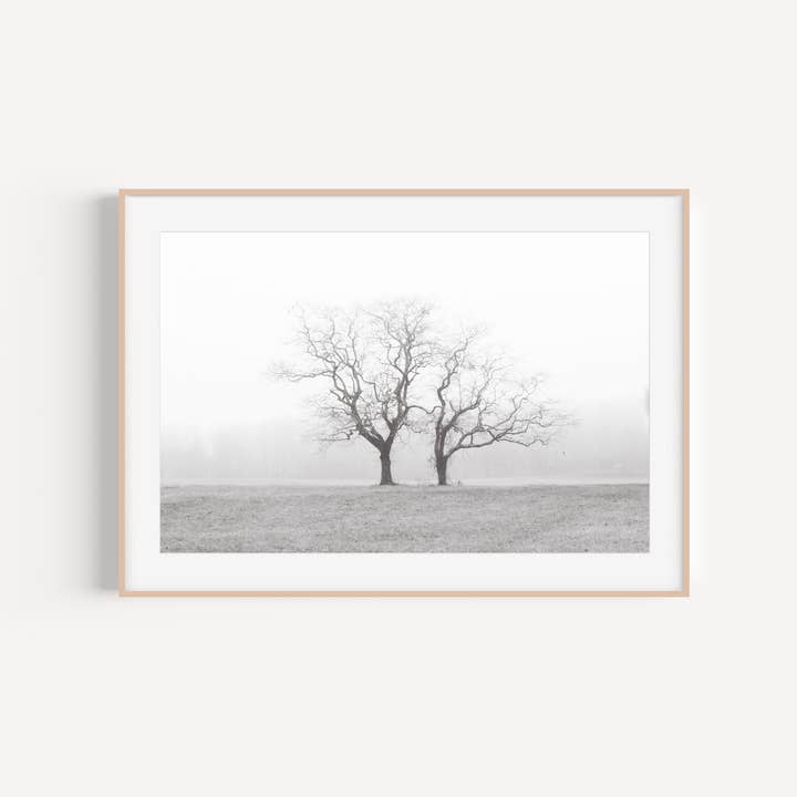 Palmetto Lifescapes - Wholesale Art Print - Black and White Trees Print, Minimalist and Modern Trees