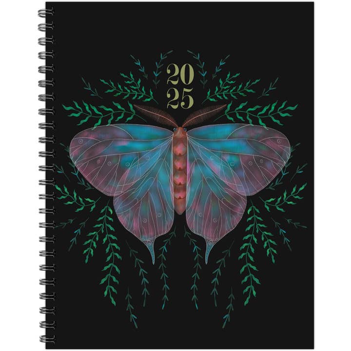 Willow Creek Press & Gifts - Wholesale Planner - Mystic Butterfly 2025 Weekly Planner