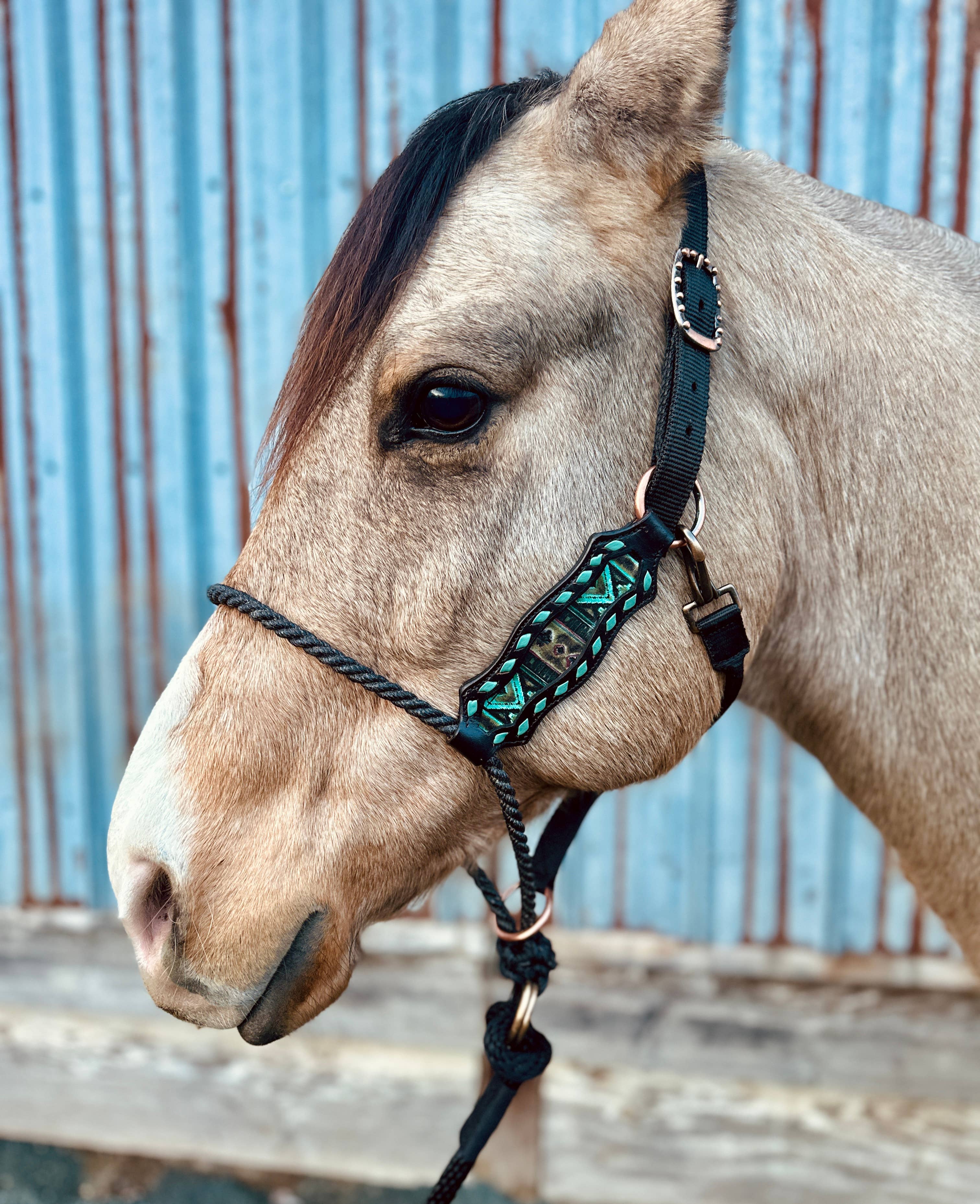Schulz Equine - Wholesale Horseback Riding Gear - Lariat Nose Halter15