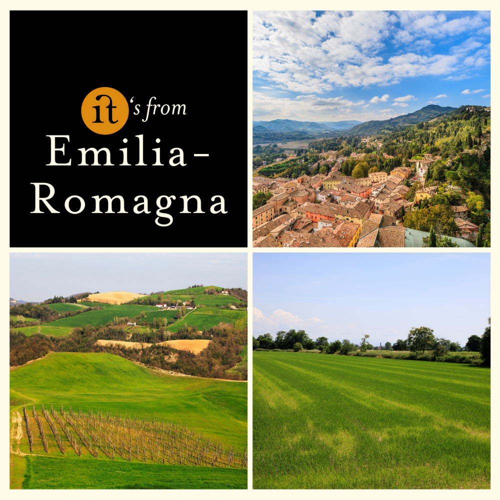 Gourm.it – Queijo por atacado – Parmigiano Reggiano Vacche Rosse 150 g, doce, envelhecido 24 meses3