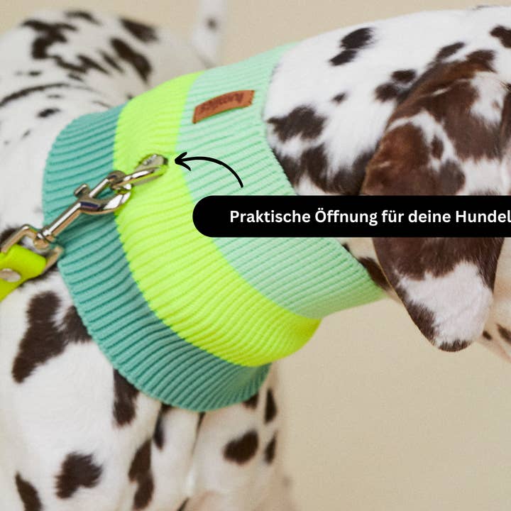 Wassermelonen Crush THE GLOW LOOP 2.0 (Watermelon Crush) for wholesale on Faire6