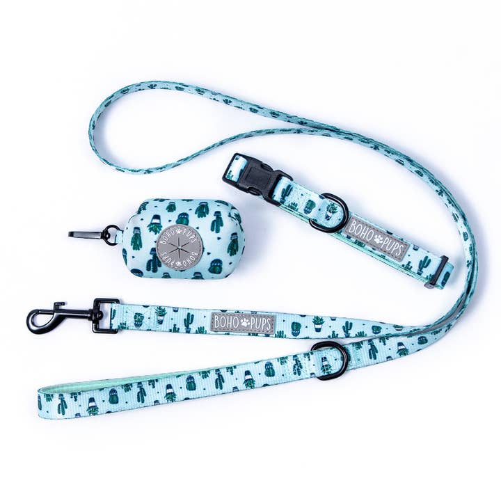 Cacti Guy Walkie Set (collar) for wholesale by Boho Pups