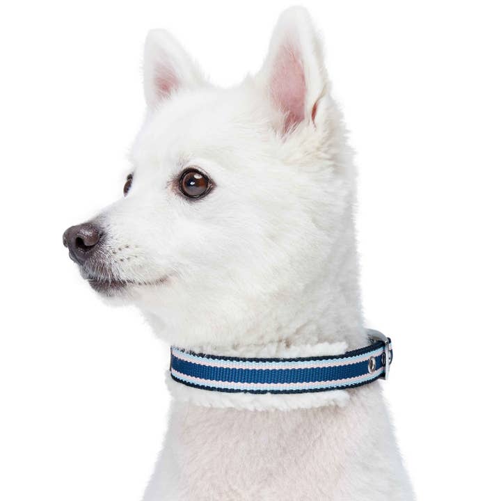 Blueberry Pet - Wholesale Pet Collar - Dog - 4 Colors, Sherpa Fleece Padded Dog Collar9