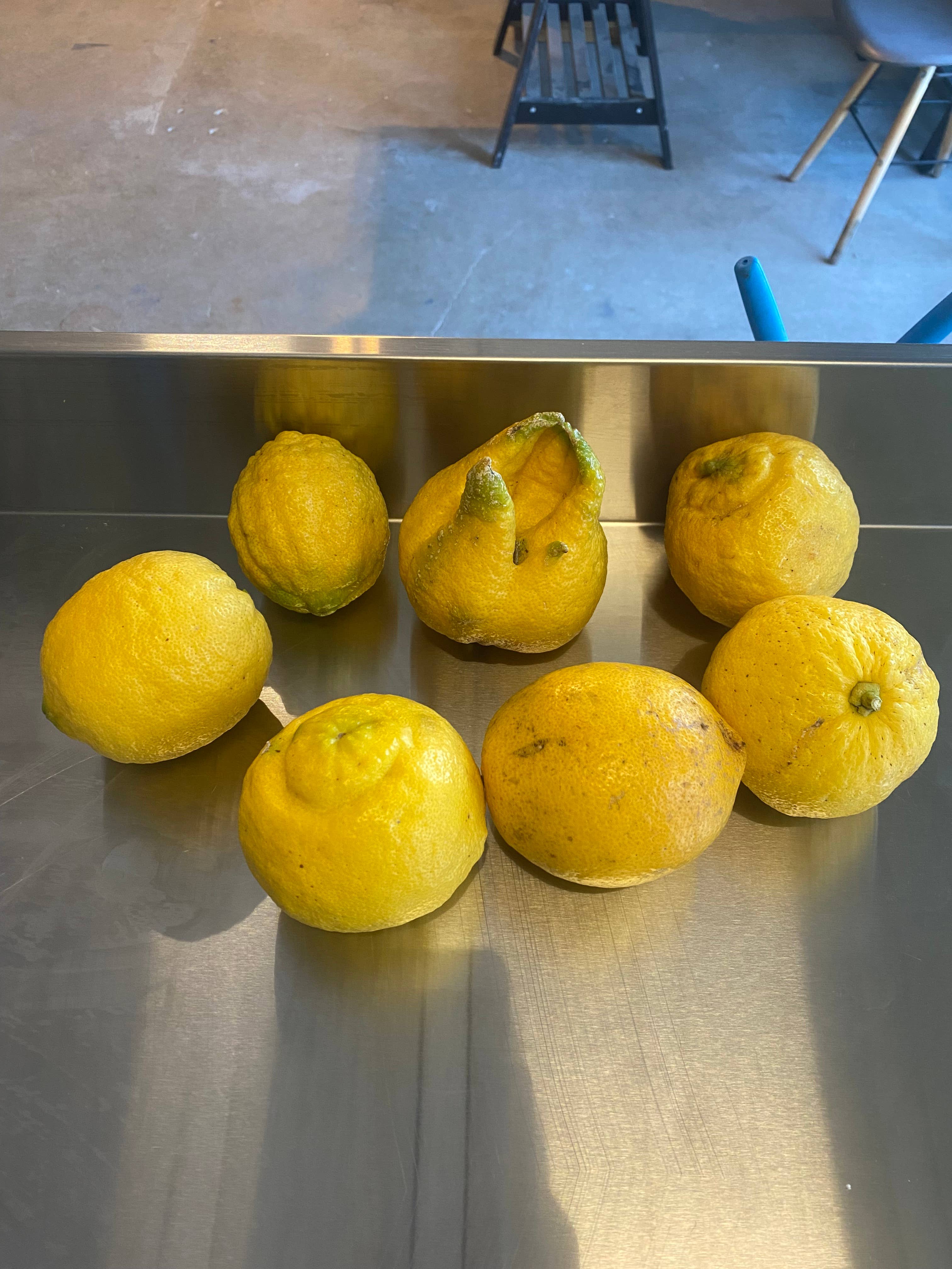 distillerie de la mer – Engroshandel Likør – Limoncello Korsika3