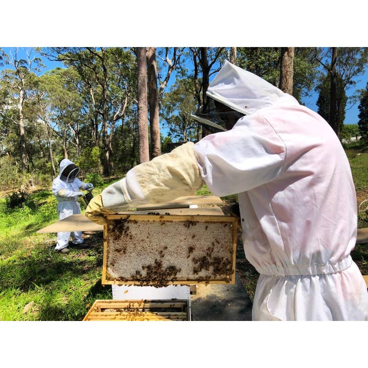 Humble Bee Australia - Wholesale Honey - 100% Raw Australian Honey - 200 Grams3