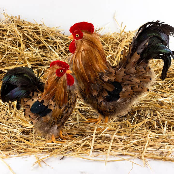 Zucker Feather Products - Wholesale Feathers - Rooster Farmhouse Decor5