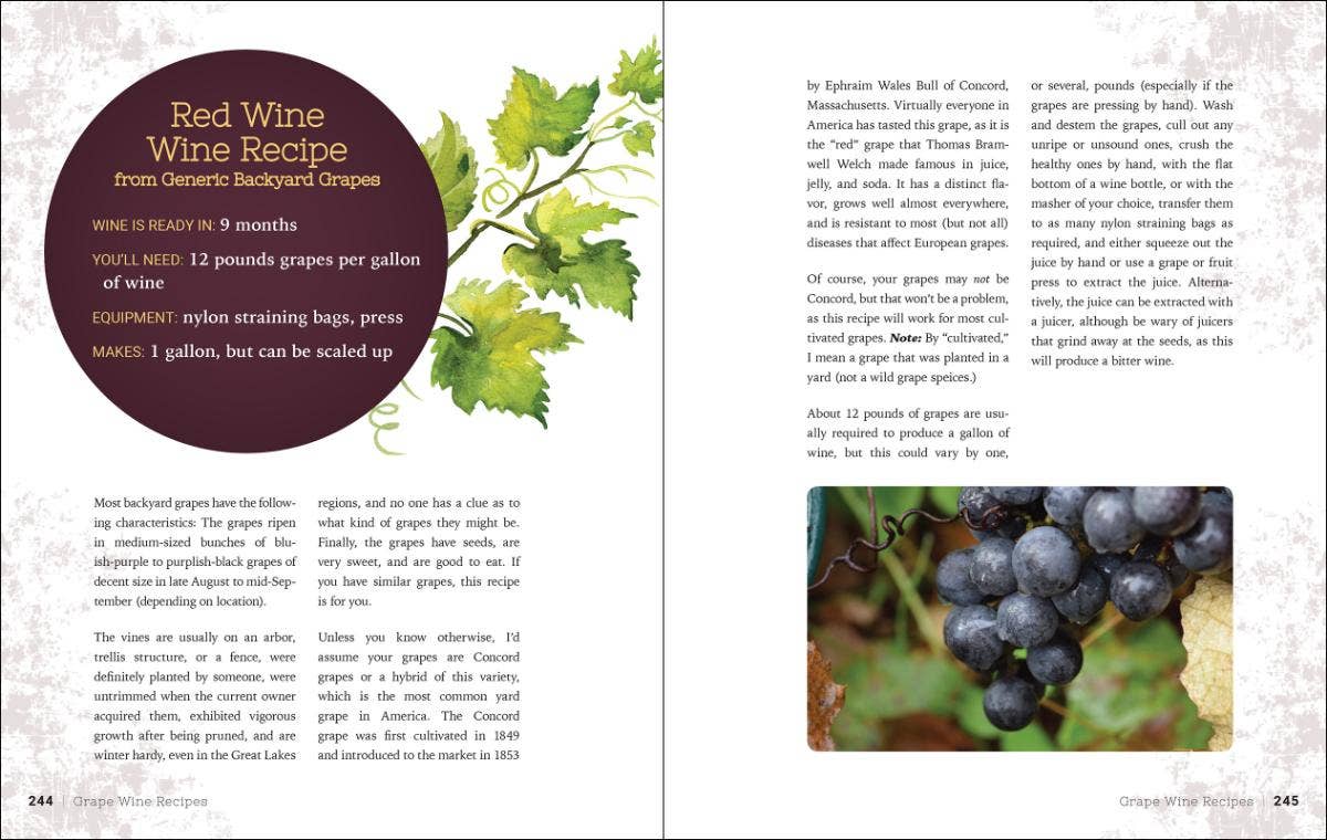 AdventureKEEN - Wholesale Mixology & Beverage - Home Winemaking: A Practical Guide3