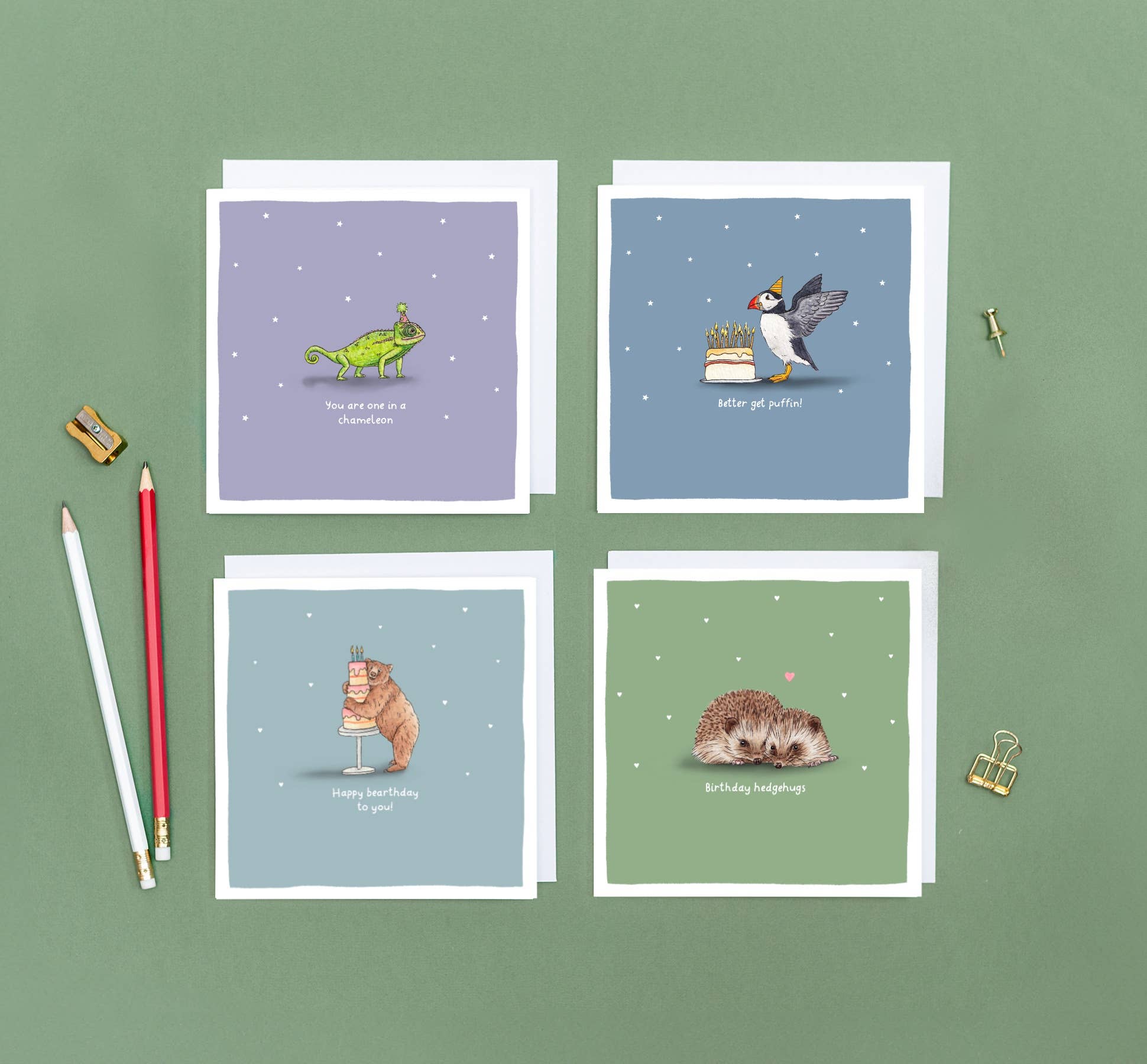 Wild Lines - Wholesale Birthday Card - Better Get Puffin! // Funny Puffin Birthday Card, Bird Cards6