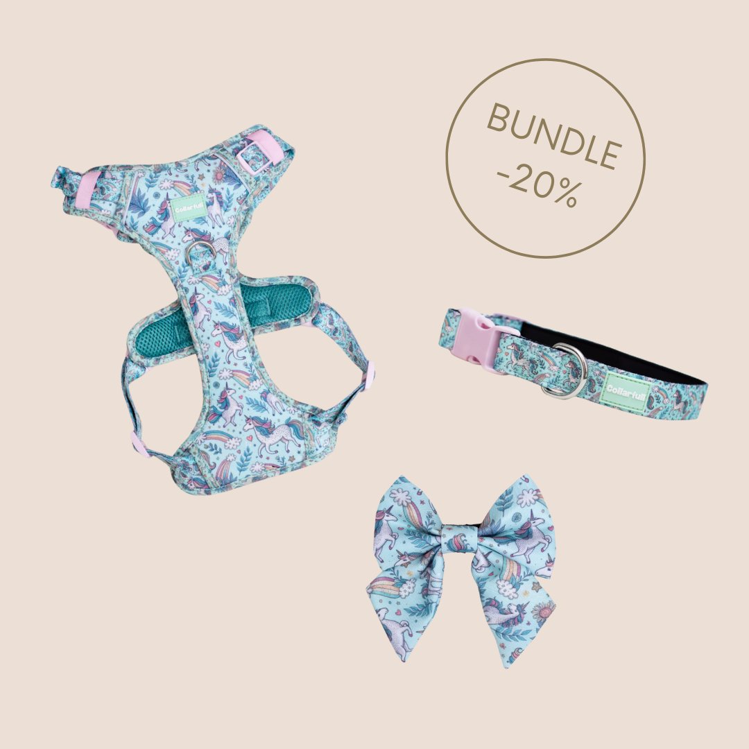 Collarfull - Wholesale Pet Harness - Dog - Stolt over at være en enhjørning-pakke0