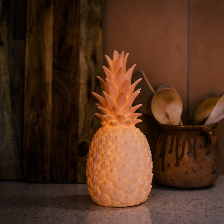 Goodnight Light - Wholesale Accent/Desk Lamp - The Piñacolada Lamp - indoor/outdoor rechargeable lamp4