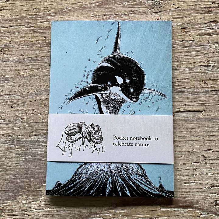 Orca Pocket Notebook for wholesale by Lifeforms Art