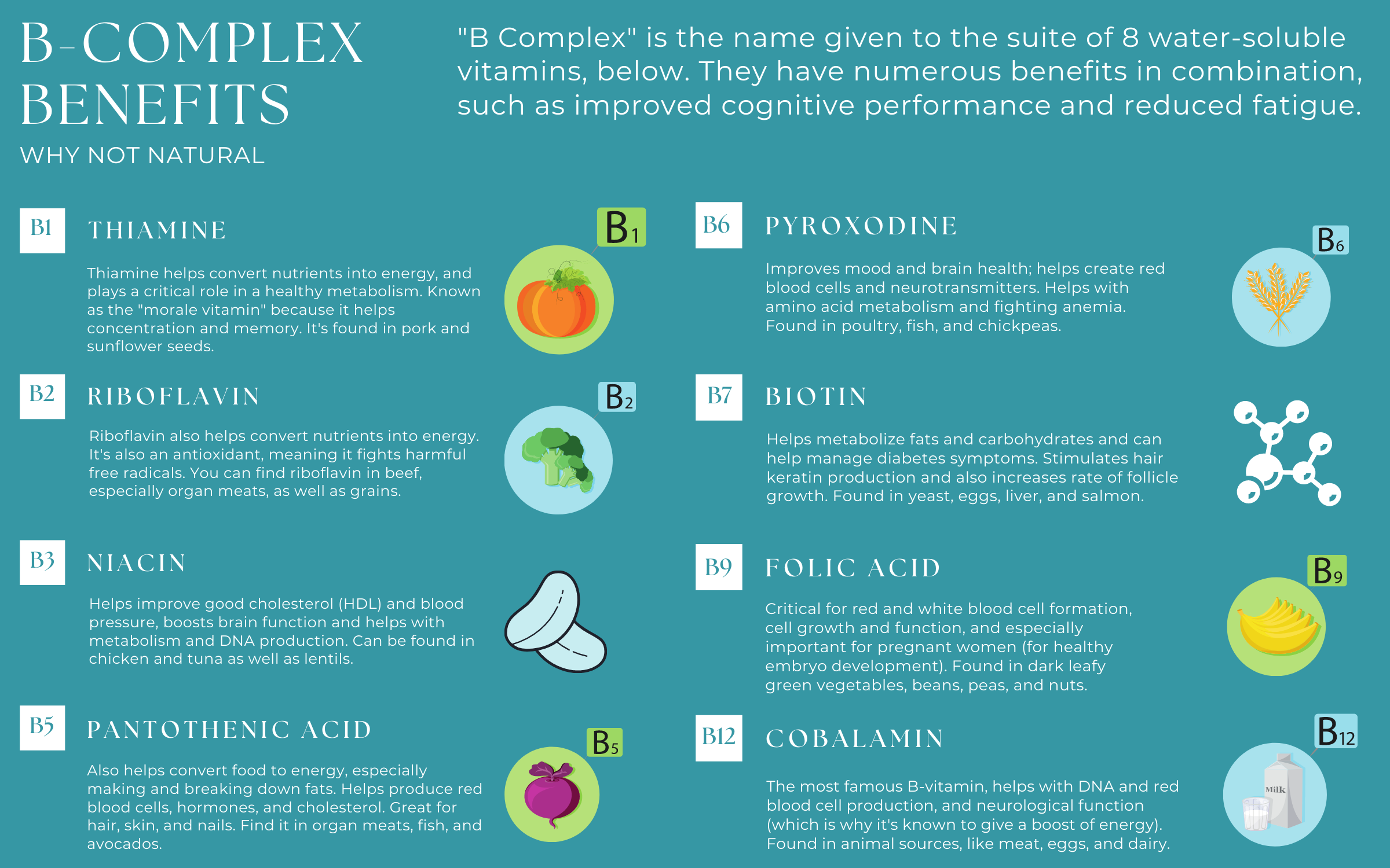 WhyNotNatural – Großhandel Nahrungsergänzungsmittel/Vitamin zum Einnehmen – B-Komplex-Flüssigkeit: Alle 8 B-Vitamine + Natürliche Unterstützung für Stress & Energie6