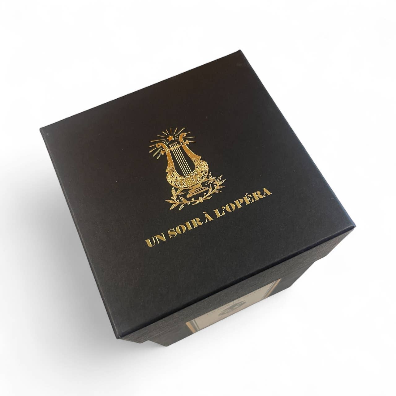 Un Soir A L'Opéra - Wholesale - Wholesale Jar/Filled Candle - Scented candle 1 kg - DON GIOVANNI2