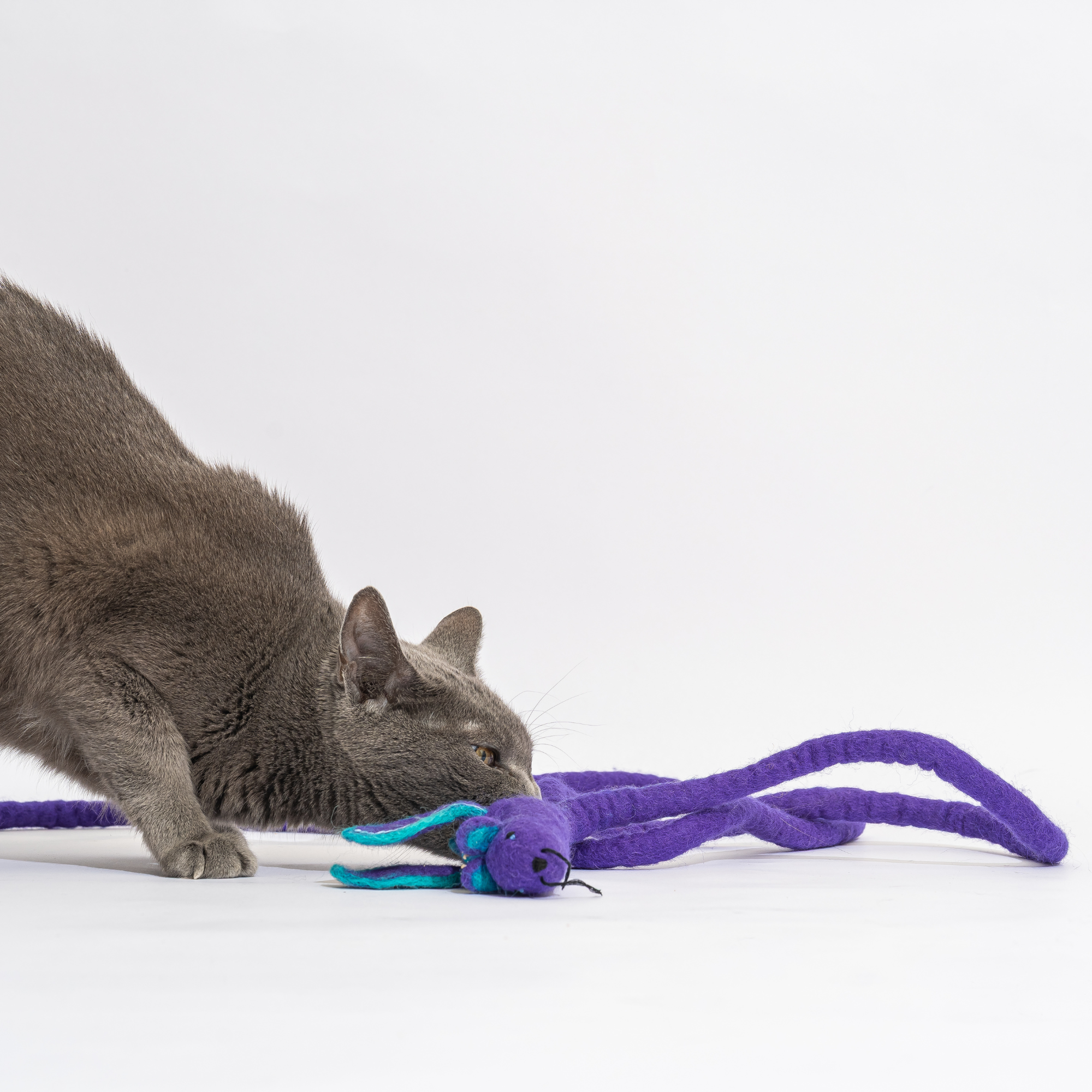 Cat in the Box LLC – wholesale Leksak - Katt – Ullmus Kattleksak med 6-fots svans - röd regnbågsenhörning drake4