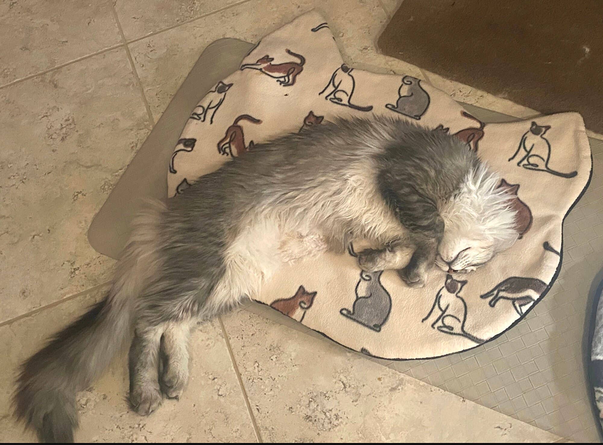 Screaming Pickles - Wholesale Pet Bed - Cat/Dog - Handmade Pet Bed/Mat Cat Head2