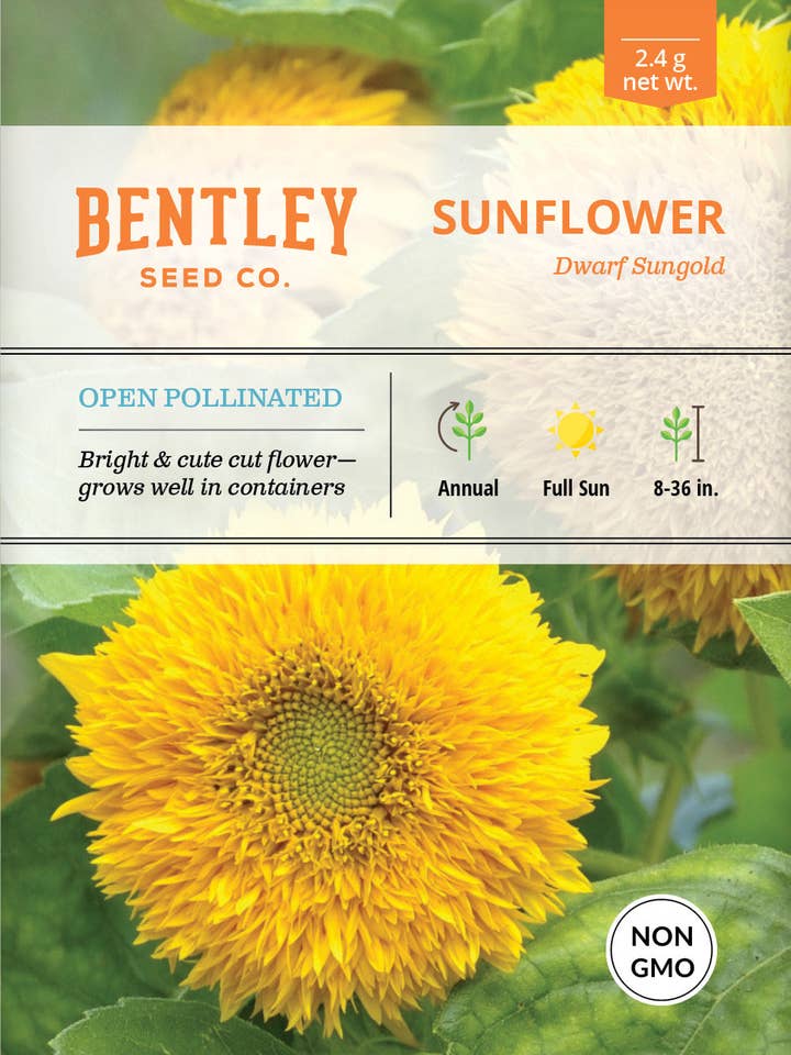Sunflower, Dwarf Sungold Seed Packets for wholesale by Bentley Seed Co.