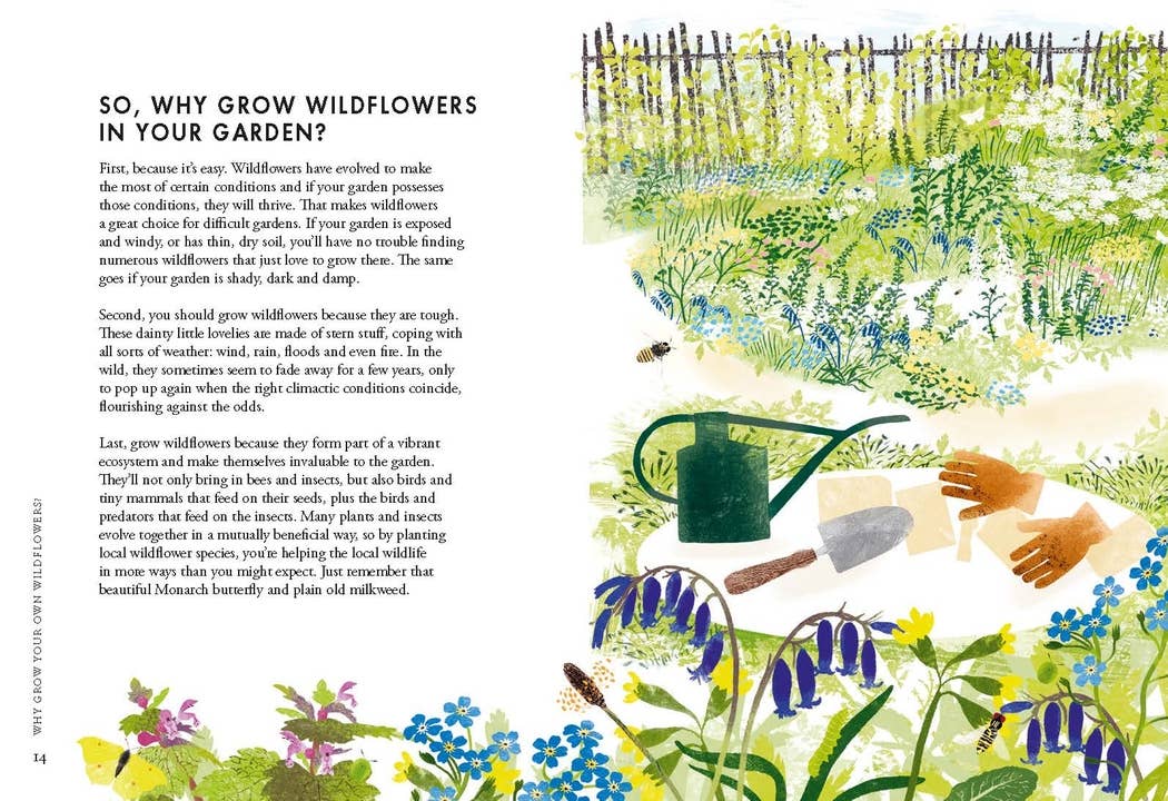 Chronicle Books - Wholesale Nature & Outdoors Book - Planting Wildflowers1