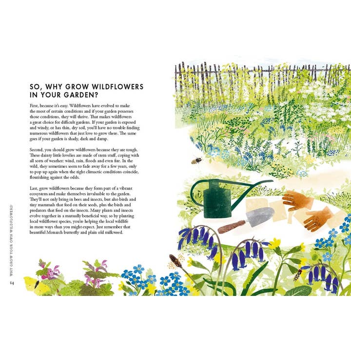 Chronicle Books - Wholesale Nature & Outdoors Book - Planting Wildflowers1