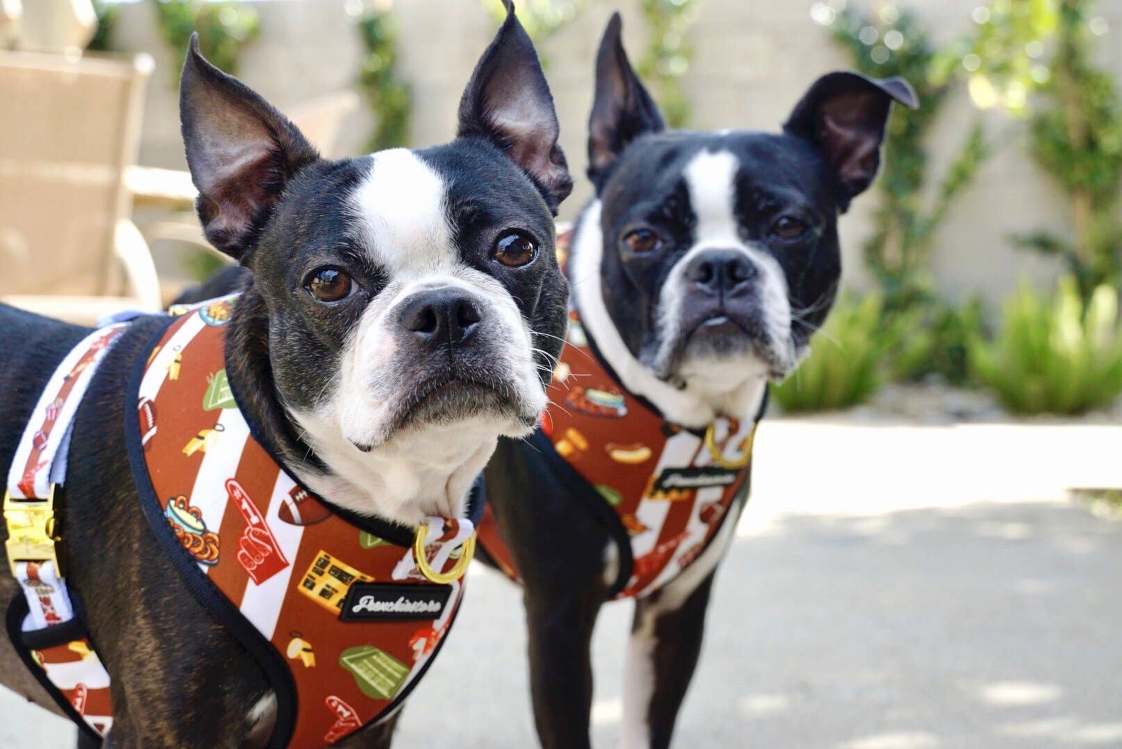 Frenchiestore - Wholesale Pet Harness - Dog - Dog Pet Reversible Health Harness | Game3