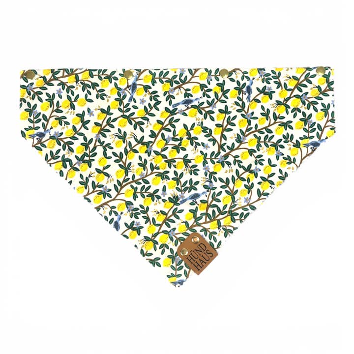 Verstelbare Leren Bandana voor Honden met Gouden Beslag & Verwisselbare Prints voor wholesale door HÜND HAUS