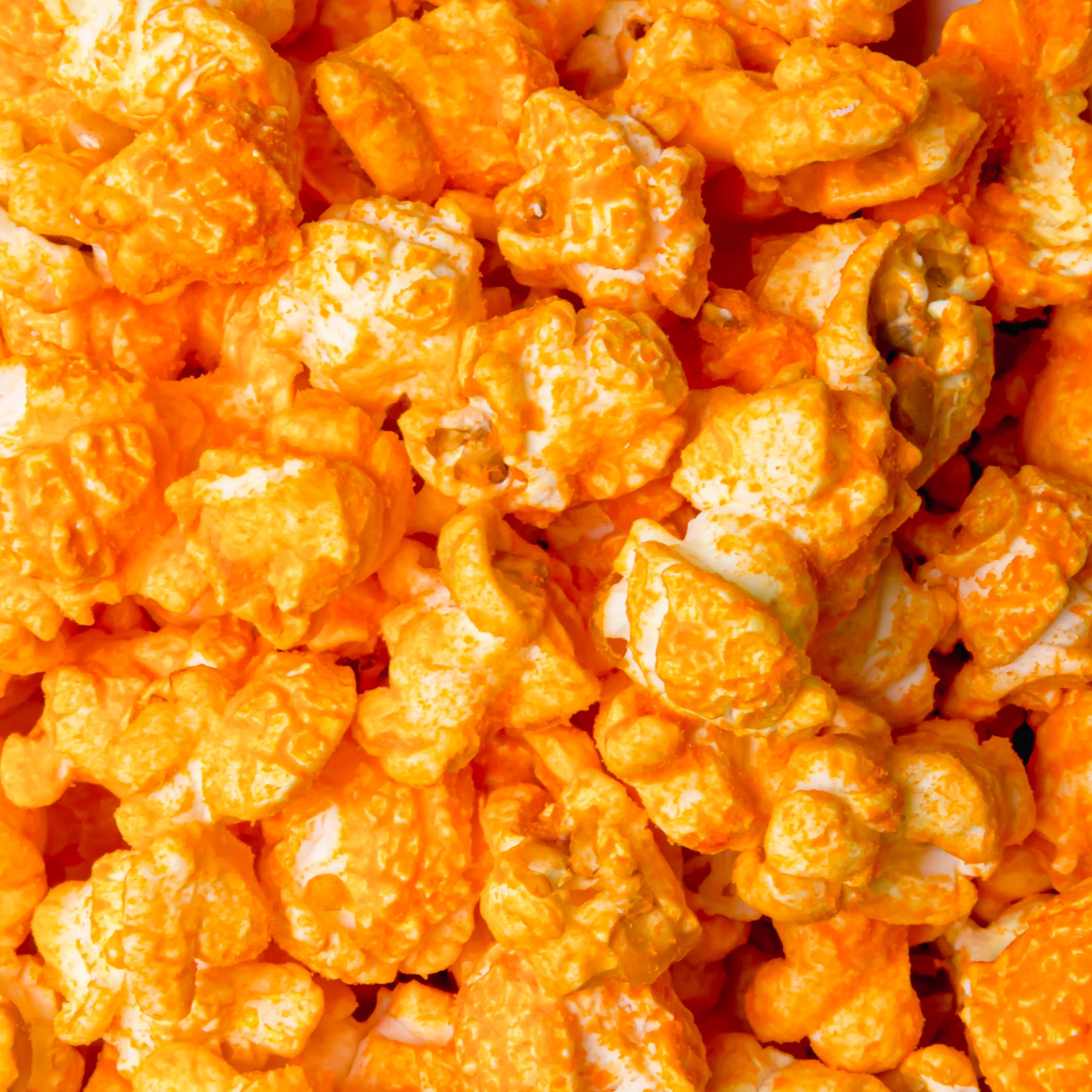 Colorado Popcorn Company - Wholesale Popcorn - Yellow Cheddar Popcorn2