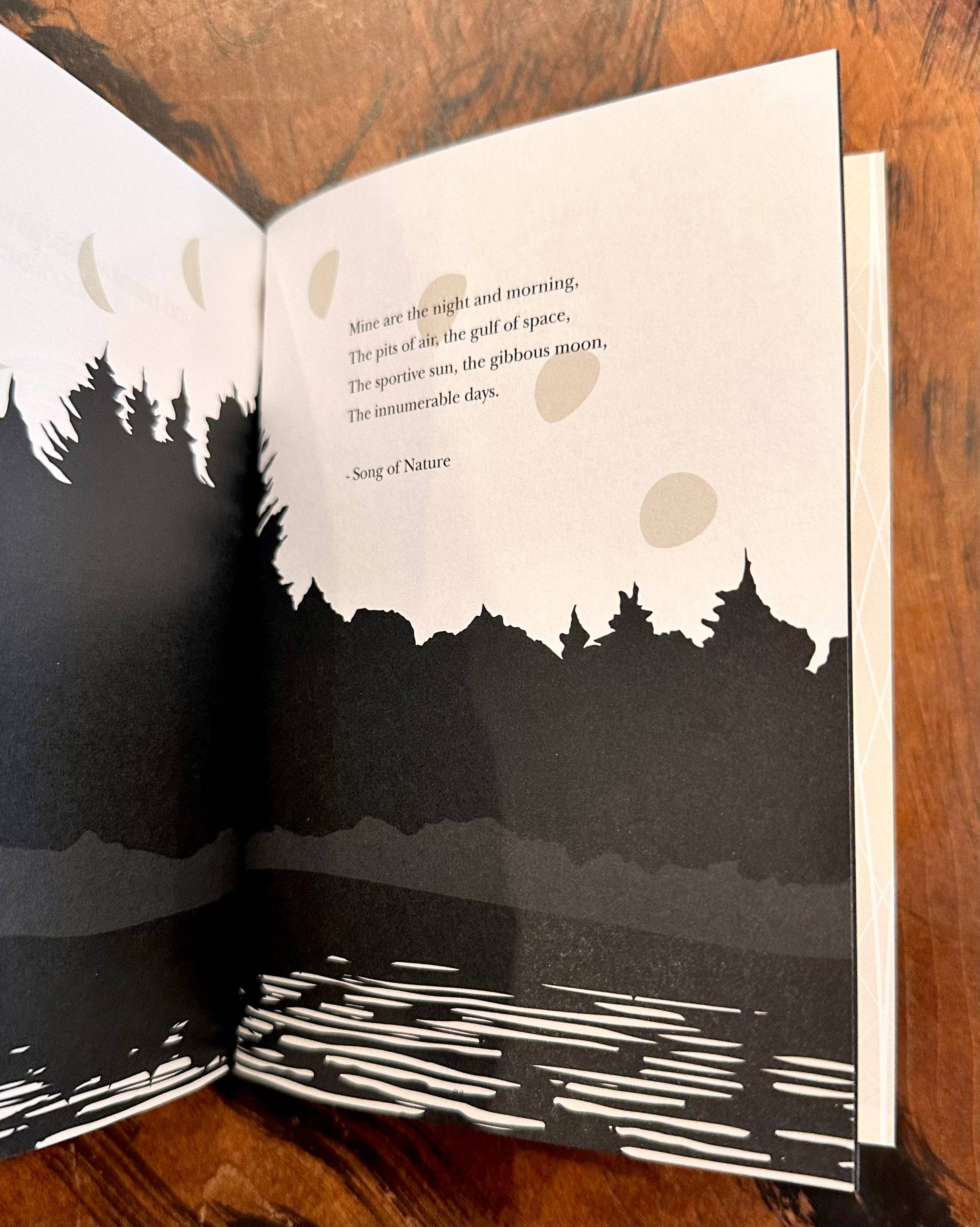 Obvious State - Wholesale Display Book - To Live Deliberately, Henry David Thoreau9