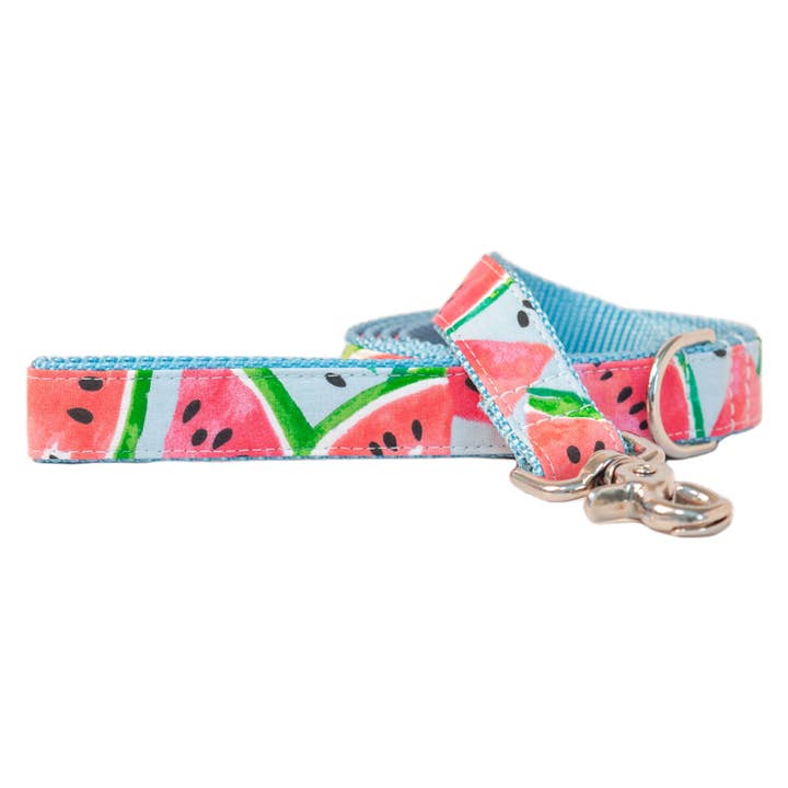 Watercolor Watermelon Dog Leash for wholesale by Crew LaLa