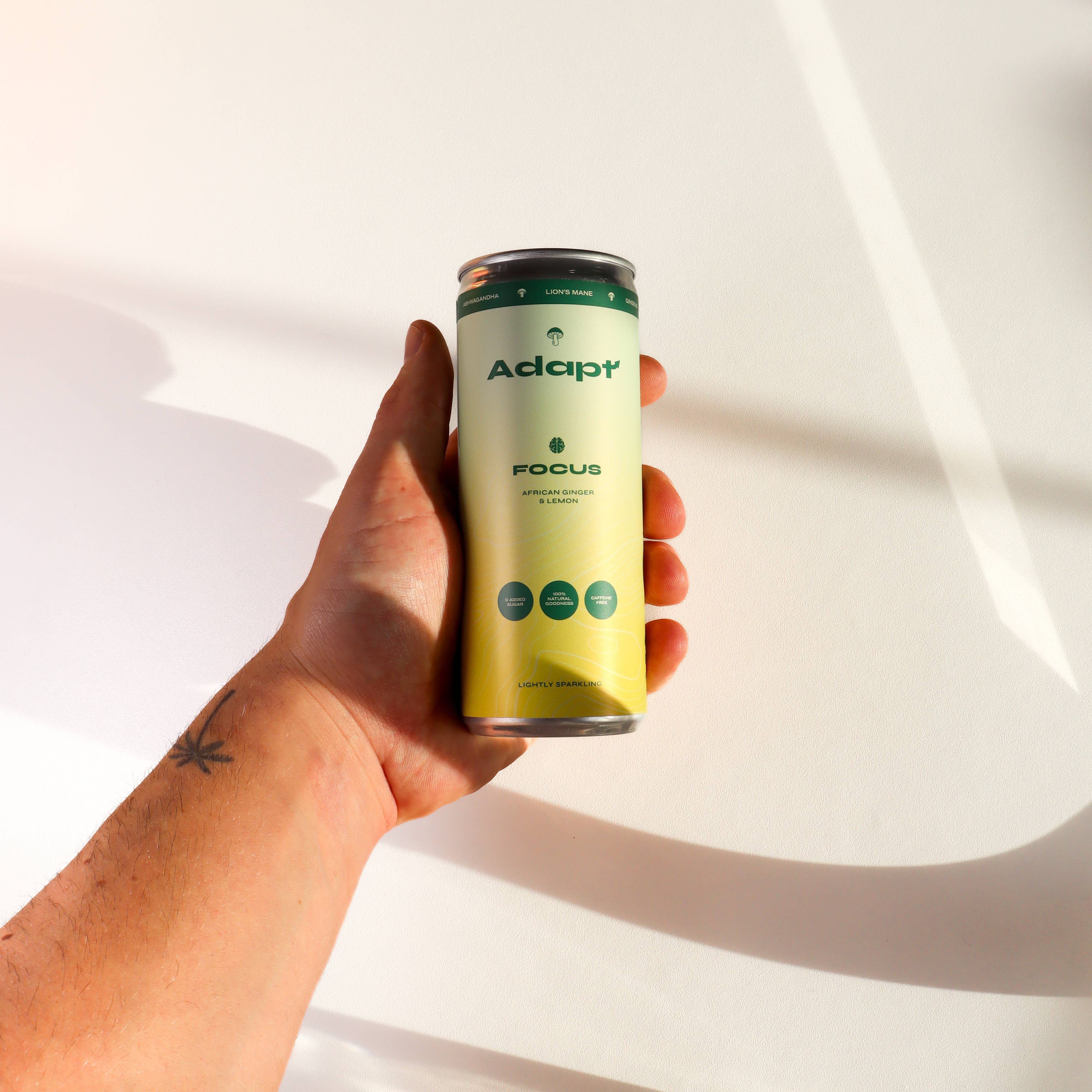 Adapt Drinks - Wholesale Soda/Carbonated Drink - Lemon & Ginger Nootropic Soda • with Lion's Mane0