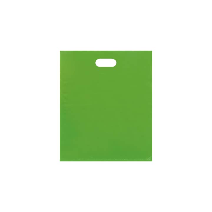 Store Supply Warehouse - Wholesale Gift Bag - Low Density Merchandise Bags25