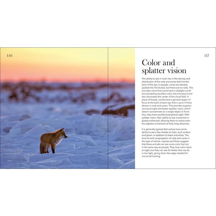 AdventureKEEN - Wholesale Nature & Outdoors - Wolves, Coyotes & Foxes5