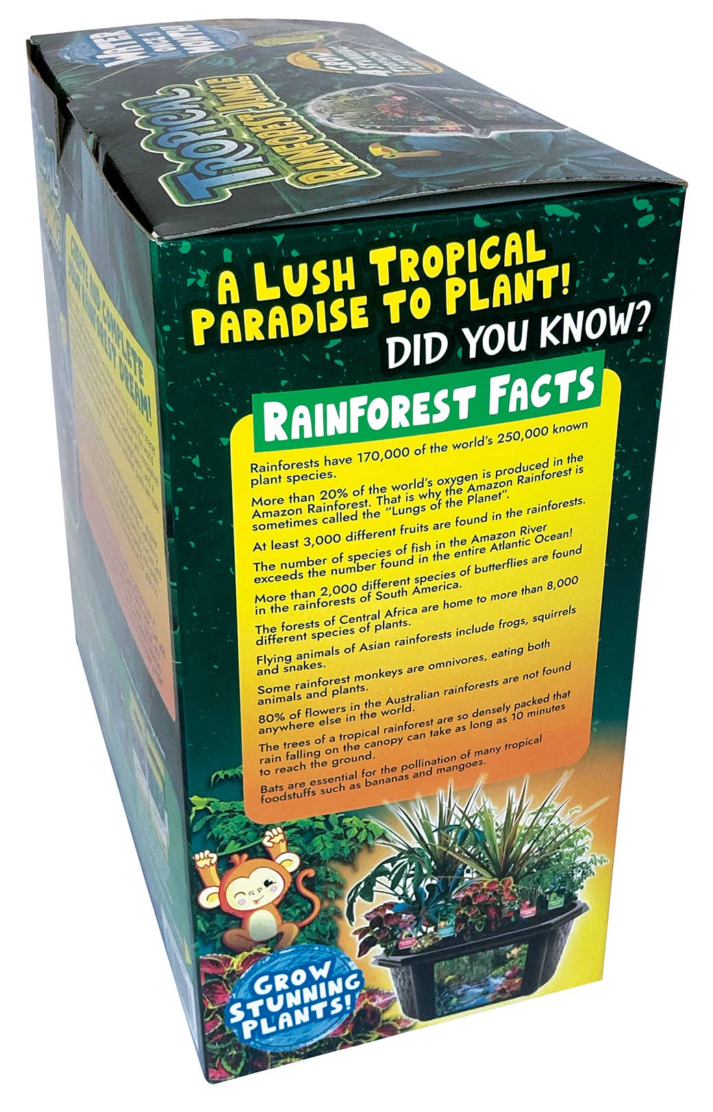 Silver Circle Products - Wholesale DIY Craft Kit - Kids - Tropical Rainforest Jungle Biosphere Terrarium6