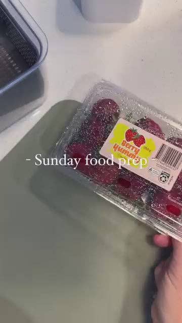 Sinchies - Vendita all'ingrosso Involucro/sacchetto per alimenti - Sacchetti per sandwich riutilizzabili Sinchies, semplici5