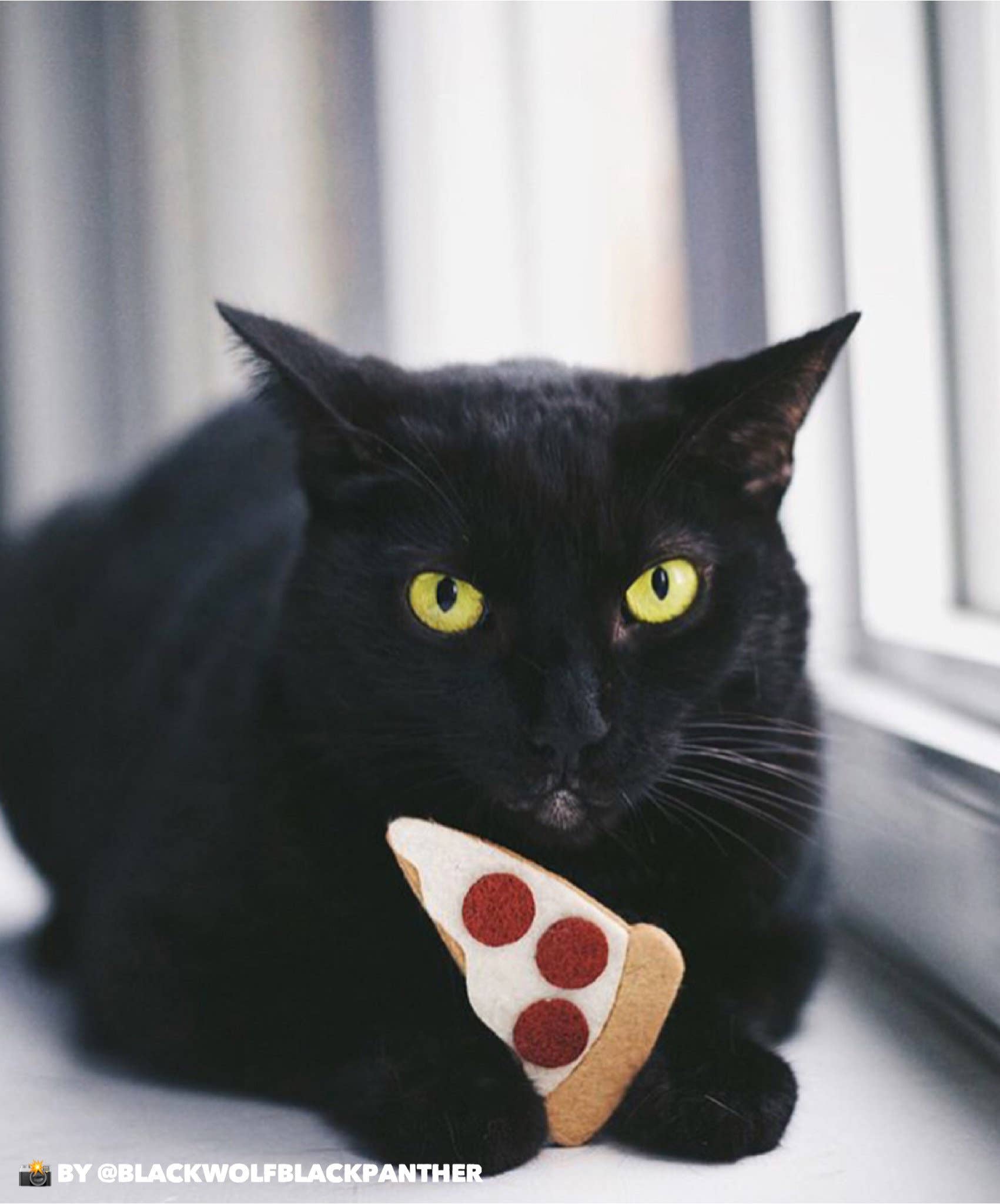 Housecat Club - Wholesale Pet Toy - Cat - Catnip Pizza Cat Toy2