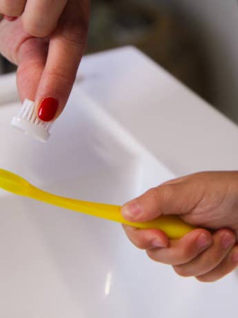 Pack of 10 refillable children's toothbrushes for wholesale by CALIQUO