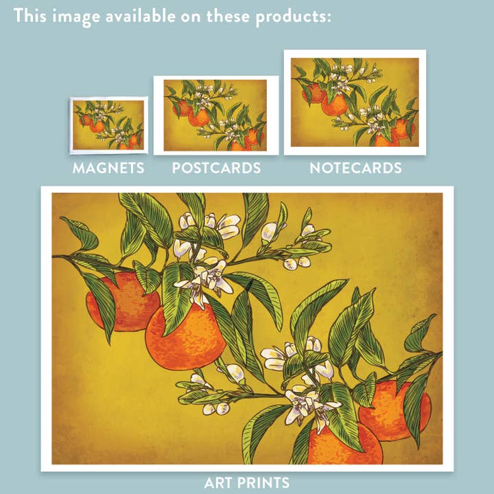Rigel Paper – wholesale Art print – Oranges Art Print