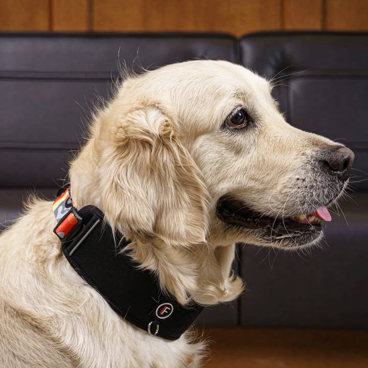 FINNERO - Wholesale Pet Collar - Dog - FINNERO CAMOCOLOR Adjustable Dog Collar, 3 Colors2