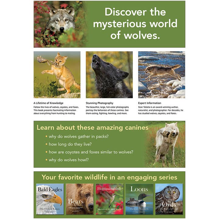 AdventureKEEN - Wholesale Nature & Outdoors - Wolves, Coyotes & Foxes1