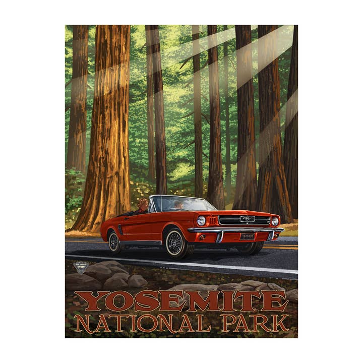 PAL-2587 A Yosemite Mustang In Woods 9x12 Print for wholesale by Art of Place