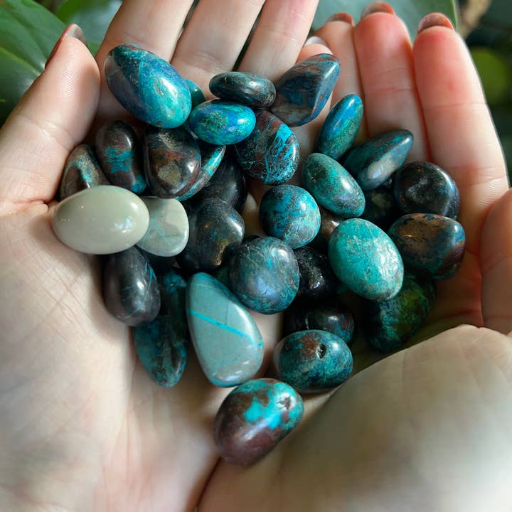 Gobelets en chrysocolle - Sachet de 25 pour la vente par Wyatt Moon Mercantile