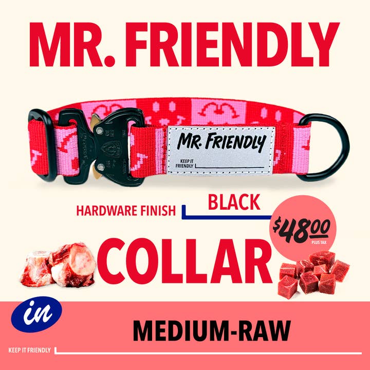 MR. FRIENDLY - HALSEBÅND - MEDIUM-RÅ - SORT for engroshandel hos MR. FRIENDLY