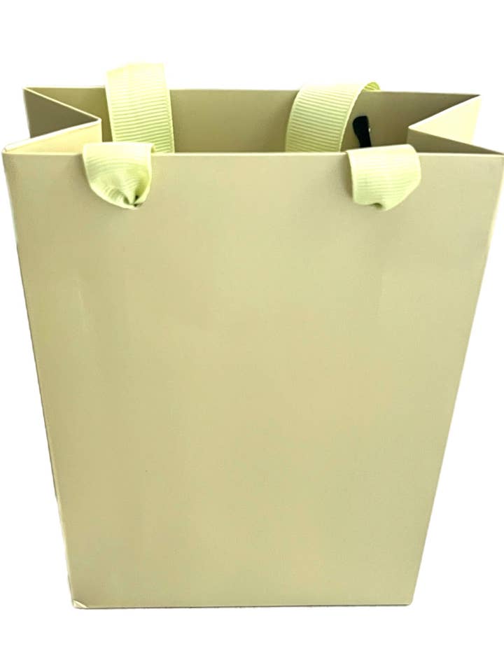 Bolsa de regalo verde claro con asa – Bolsa para bodas y joyería para venta al por mayor de ANYGIFTGOODPACKINGBOX