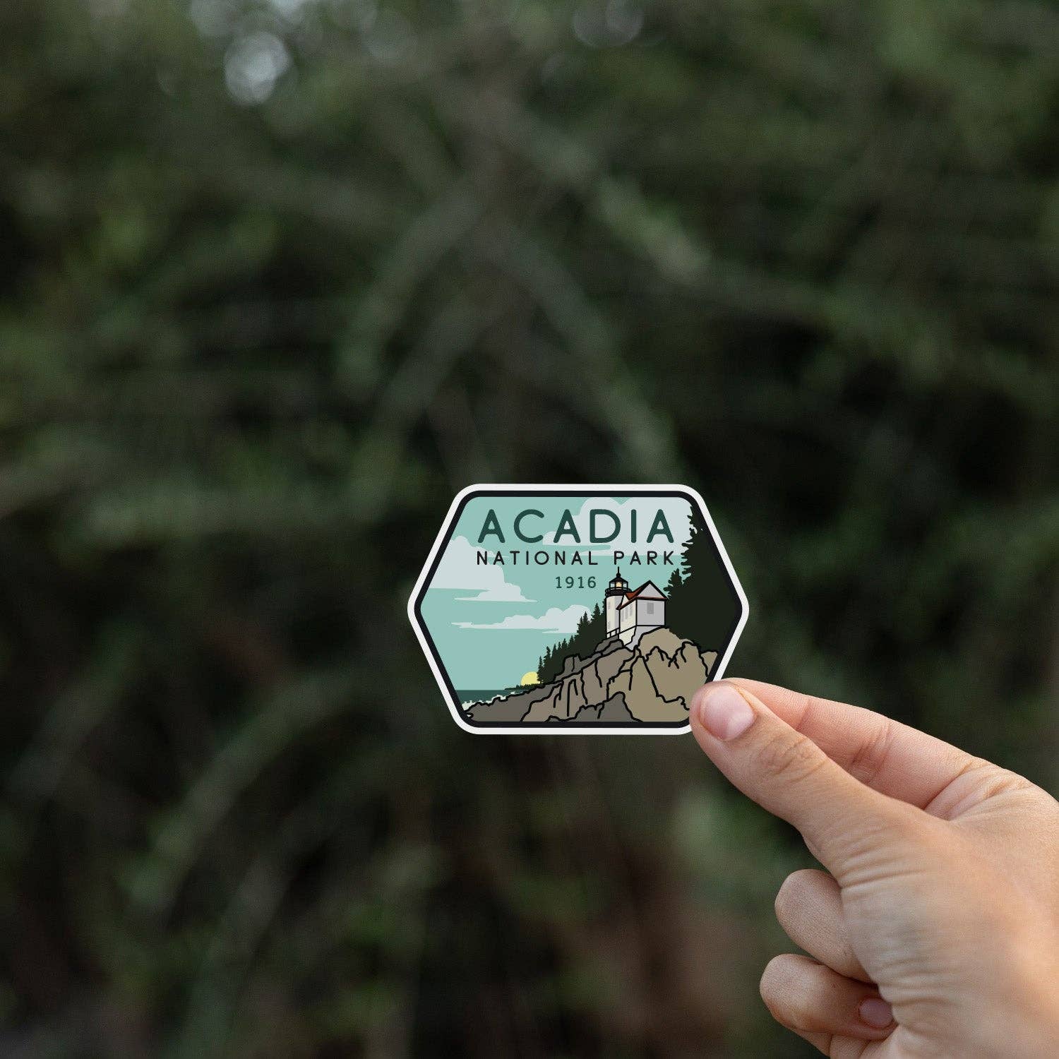 Squatchy - Wholesale Sticker - Acadia National Park Sticker6