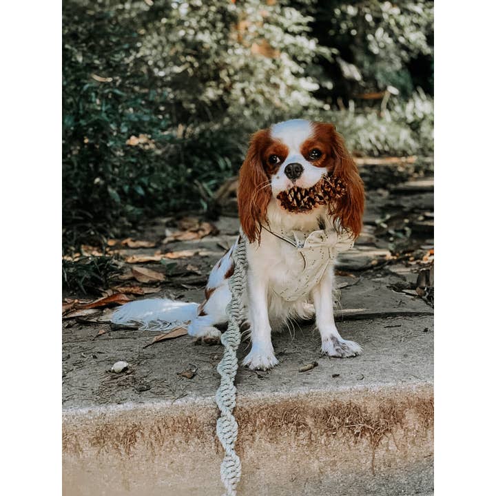 EMBER & IVORY – trela - Cão por atacado – Trela Macramé para Cão c/ Alça em Pele - Corda Verde Sage