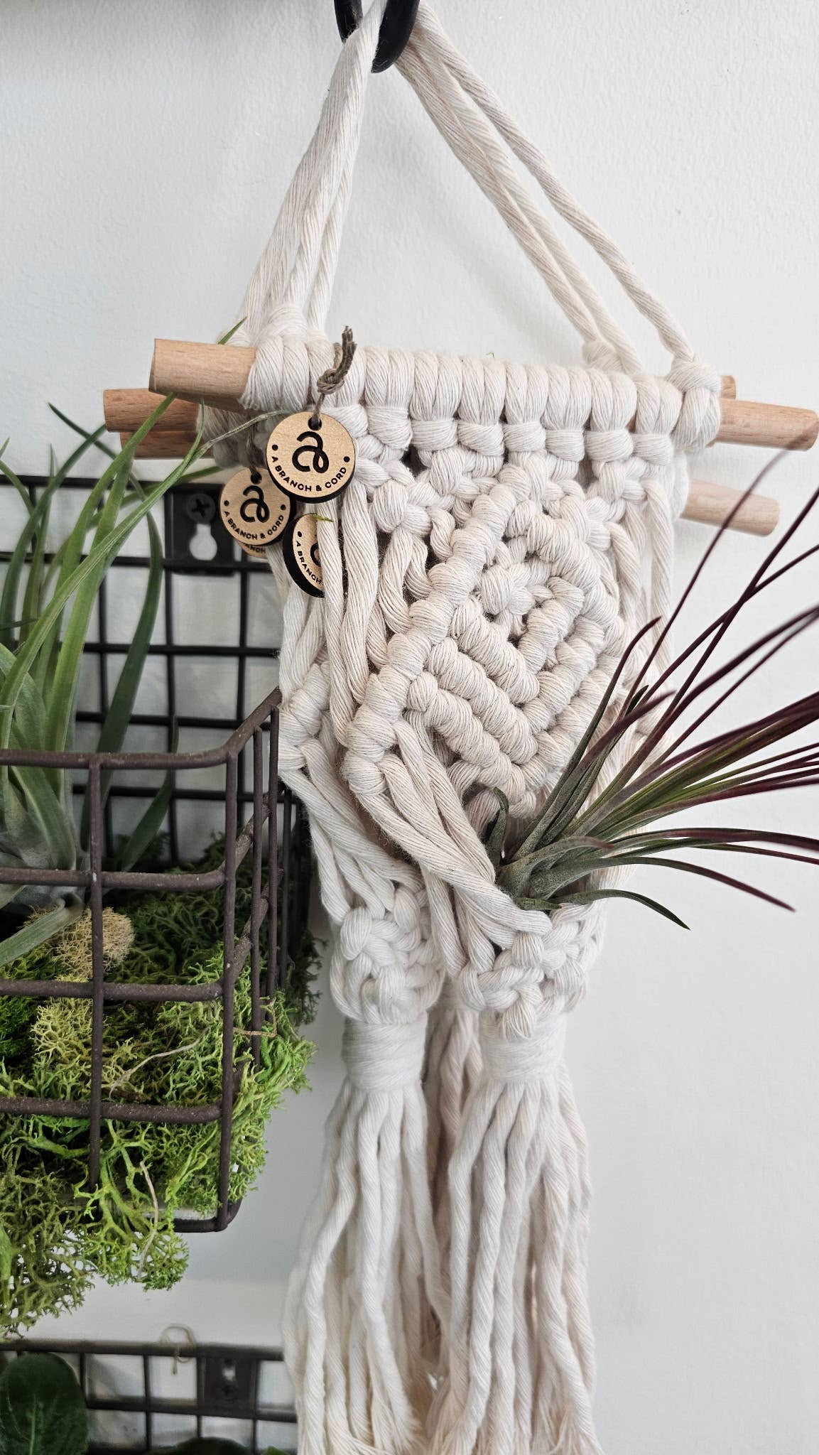 A Branch & Cord - Vendita all'ingrosso Fioriere a sospensione - Portavaso per Piante Aeree in Macramè – Decorazione Boho per Piante Sospese0