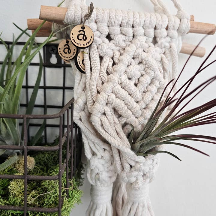 A Branch & Cord - Vendita all'ingrosso Fioriere a sospensione - Portavaso per Piante Aeree in Macramè – Decorazione Boho per Piante Sospese