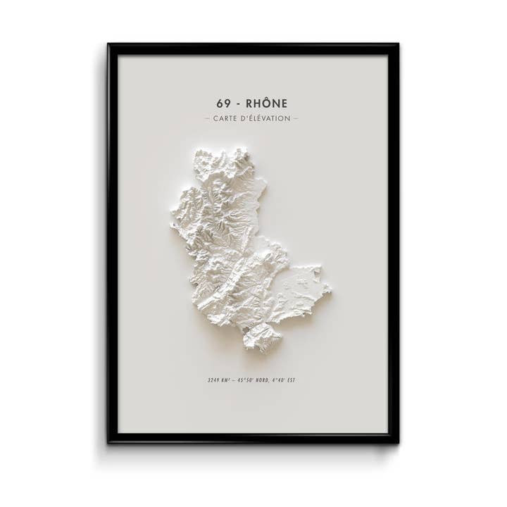 Carte d'élévation Rhône pour la vente par Finke