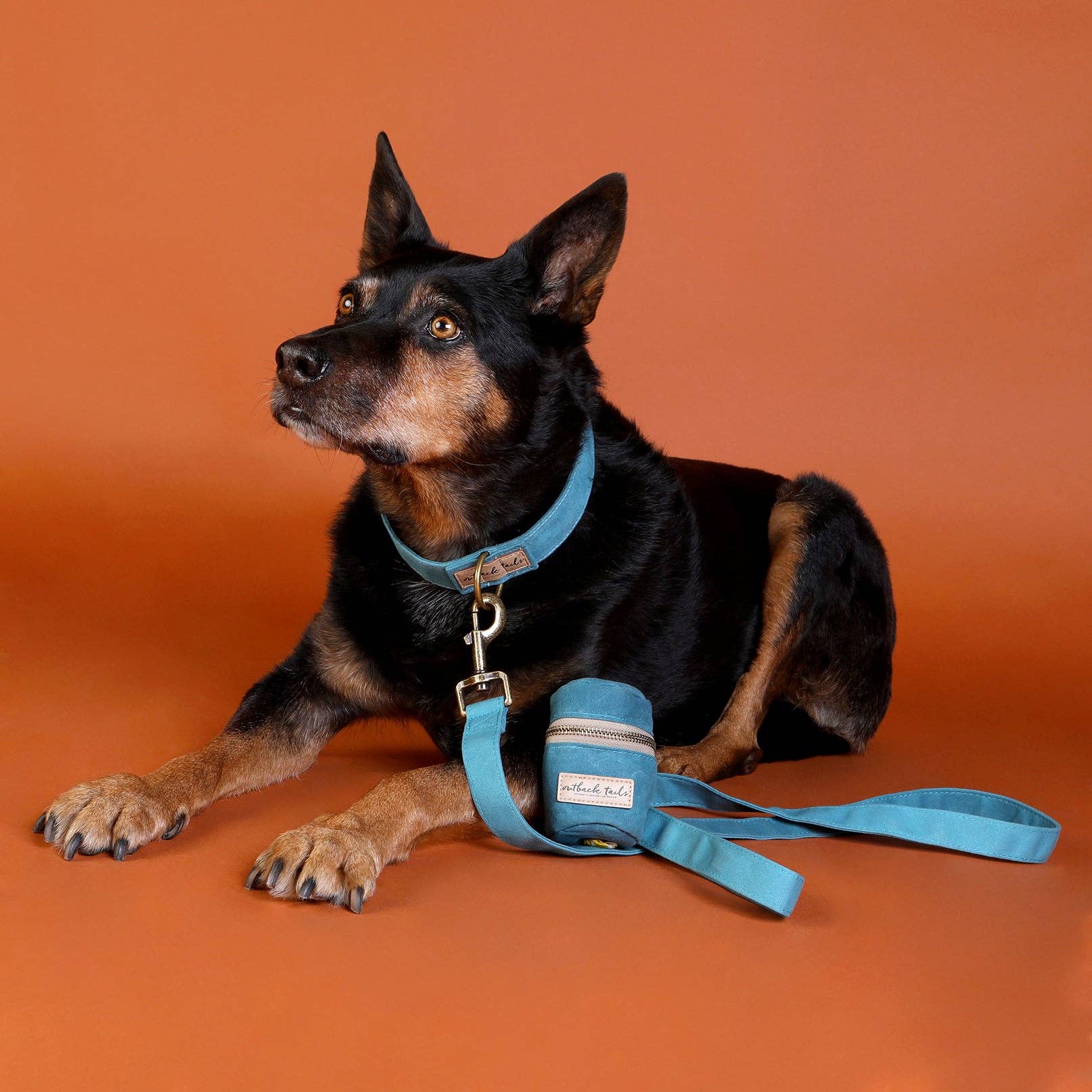 Outback Tails - Wholesale Pet Leash - Dog - Waxed Canvas Dog Lead - Blue4